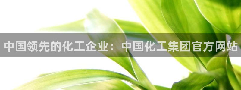 球盟会网址多少：中国领先的化工企业：中国化工集团官方网站