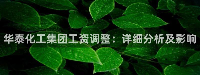 球盟会APP官网：华泰化工集团工资调整：详细分析及影响