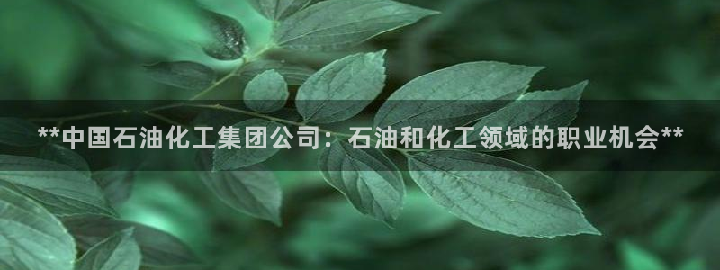 球盟会体育app官方网站：**中国石油化工集团公司：石油和化