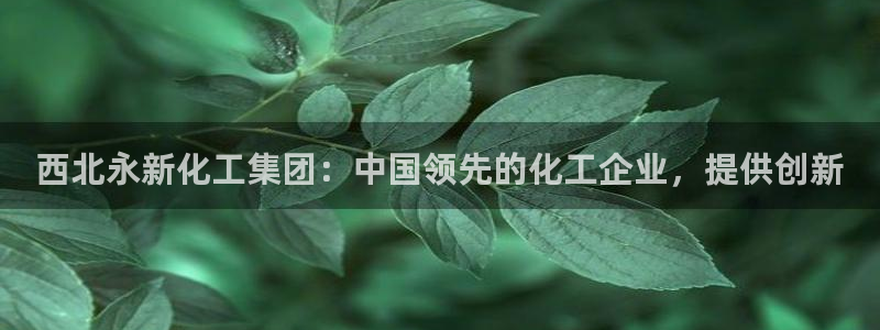 球盟会下载最新版：西北永新化工集团：中国领先的化工企业，提供