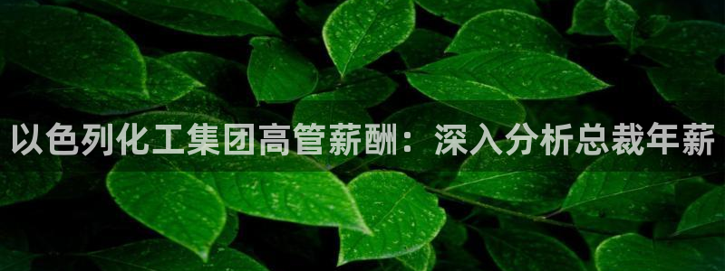 球盟会官方平台入口：以色列化工集团高管薪酬：深入分析总裁年薪