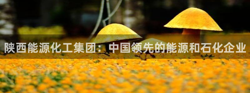 球盟会游戏：陕西能源化工集团：中国领先的能源和石化企业