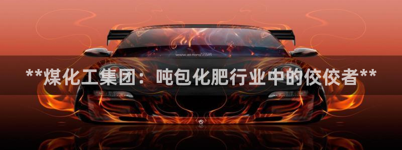 球盟会网页登录入口：**煤化工集团：吨包化肥行业中的佼佼者*