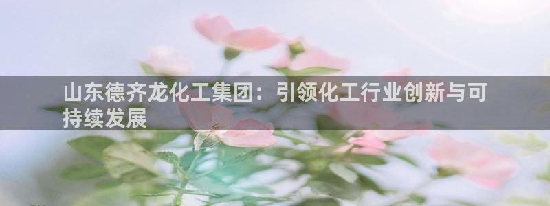 球盟会和中欧合作吗：山东德齐龙化工集团：引领化工行业创新与可