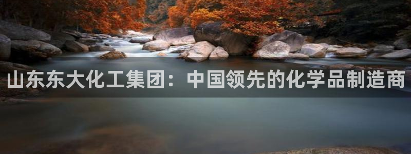 球盟会福利码2023最简单三个步骤：山东东大化工集团：中国领