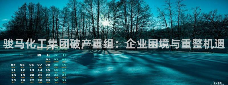 球盟会中国网页登录：骏马化工集团破产重组：企业困境与重整机遇