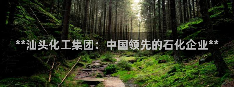 球盟会黑款吗还是白款：**汕头化工集团：中国领先的石化企业*