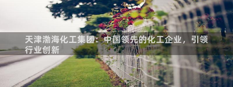 球盟会登录平台入口：天津渤海化工集团：中国领先的化工企业，引