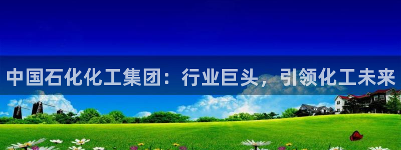 球盟会网页登录入口：中国石化化工集团：行业巨头，引领化工未来