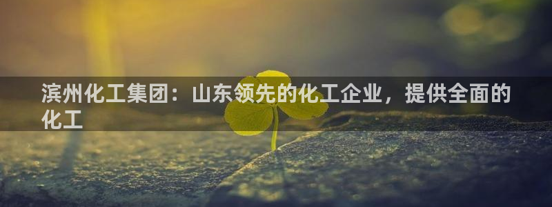 球盟会官方入口：滨州化工集团：山东领先的化工企业，提供全面的