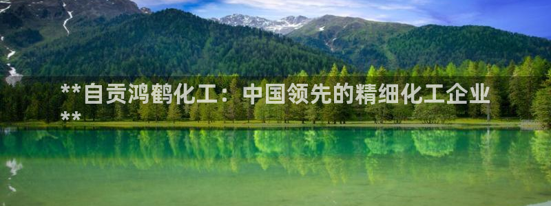 球盟会国际官网：**自贡鸿鹤化工：中国领先的精细化工企业
*