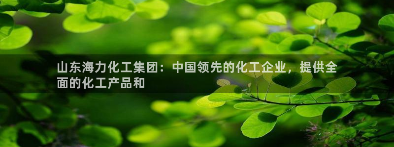 球盟会app网址多少号：山东海力化工集团：中国领先的化工企业