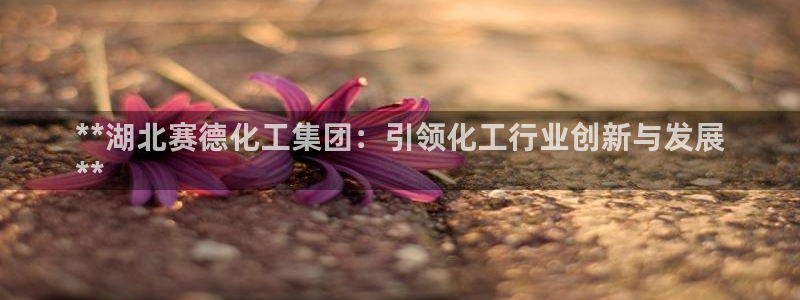 球盟会网页登录app下载地址：**湖北赛德化工集团：引领化工