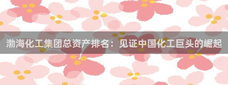 球盟会网址多少：渤海化工集团总资产排名：见证中国化工巨头的崛