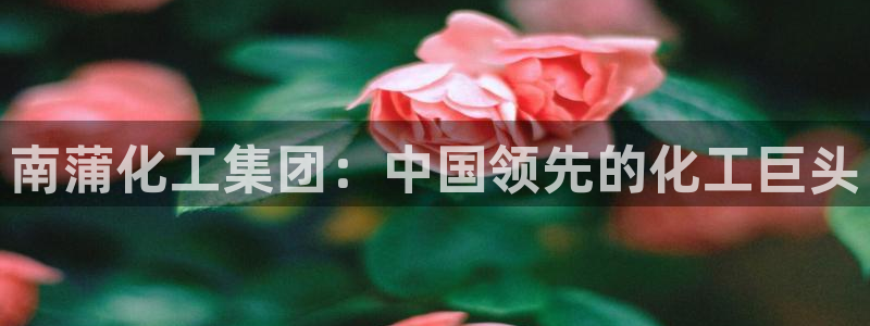 球盟会论坛：南蒲化工集团：中国领先的化工巨头
