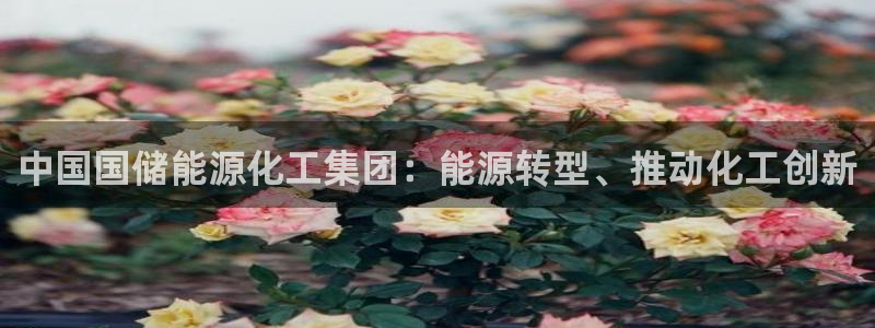 球盟会综合体育平台怎么样：中国国储能源化工集团：能源转型、推