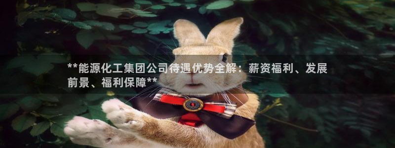 球盟会里面有打牌的嘛知乎：**能源化工集团公司待遇优势全解：