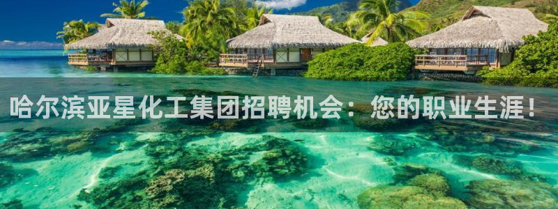 球盟会娱乐平台：哈尔滨亚星化工集团招聘机会：您的职业生涯！