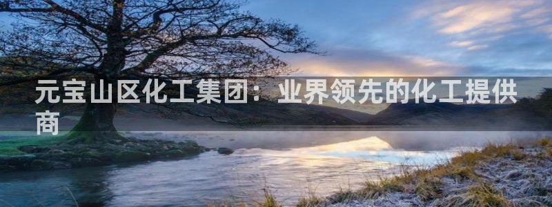 球盟会qm：元宝山区化工集团：业界领先的化工提供
商
