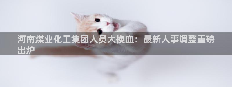 球盟会官方网站入口：河南煤业化工集团人员大换血：最新人事调整