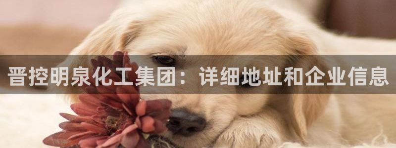 球盟会官方网入口：晋控明泉化工集团：详细地址和企业信息