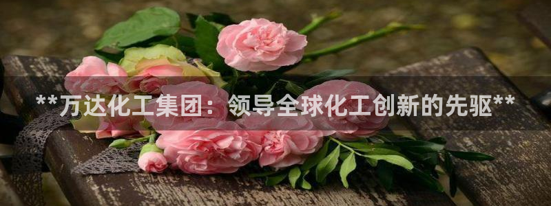 球盟会福利码2023最简单三个步骤：**万达化工集团：领导全
