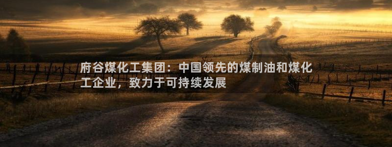 球盟会qmh官网：府谷煤化工集团：中国领先的煤制油和煤化
工