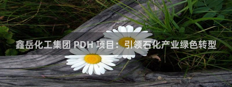 球盟会封号：鑫岳化工集团 PDH 项目：引领石化产业绿色转型