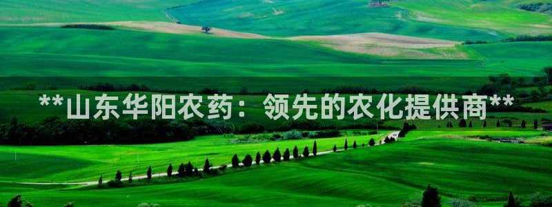 球盟会下载最新版：**山东华阳农药：领先的农化提供商**