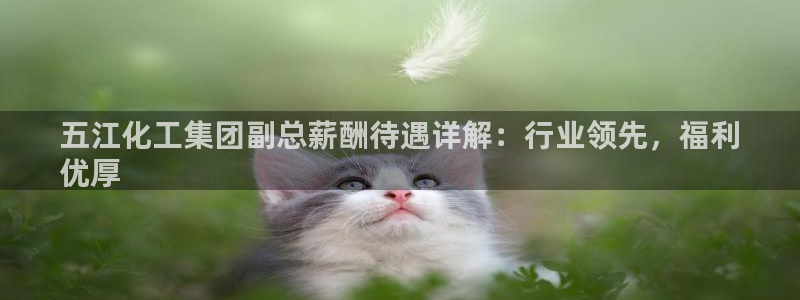球盟会官方网站app：五江化工集团副总薪酬待遇详解：行业领先