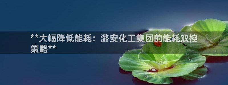 球盟会登陆：**大幅降低能耗：潞安化工集团的能耗双控
策略*