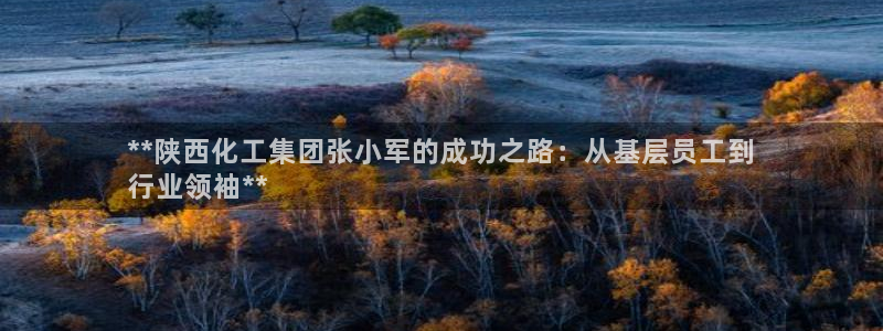 球盟会黑钱：**陕西化工集团张小军的成功之路：从基层员工到
