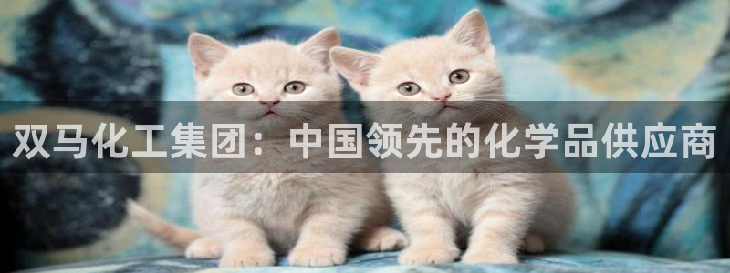 球盟会能退钱吗知乎：双马化工集团：中国领先的化学品供应商