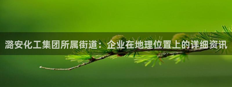 球盟会和中欧：潞安化工集团所属街道：企业在地理位置上的详细资