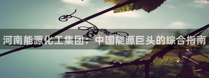 球盟会黑钱：河南能源化工集团：中国能源巨头的综合指南