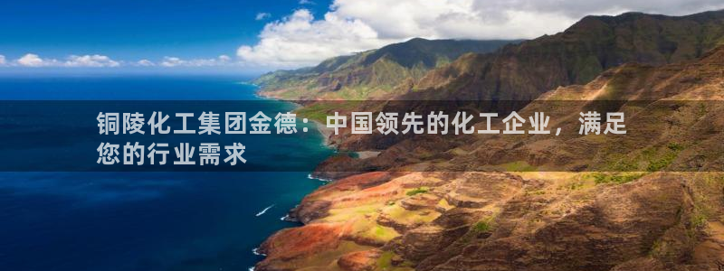 球盟会登录入口：铜陵化工集团金德：中国领先的化工企业，满足
