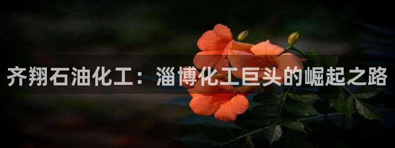 球盟会网址多少：齐翔石油化工：淄博化工巨头的崛起之路