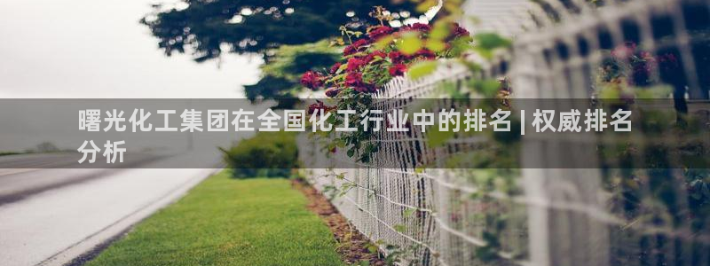 球盟会福利码2023最简单三个步骤：曙光化工集团在全国化工行