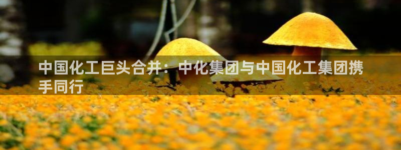 球盟会可靠不：中国化工巨头合并：中化集团与中国化工集团携
手