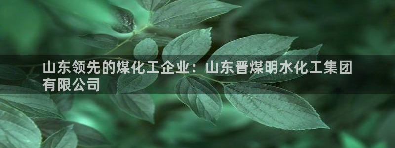 球盟会最新地址备用：山东领先的煤化工企业：山东晋煤明水化工集