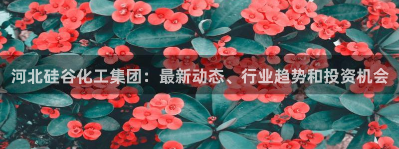 球盟会官方：河北硅谷化工集团：最新动态、行业趋势和投资机会