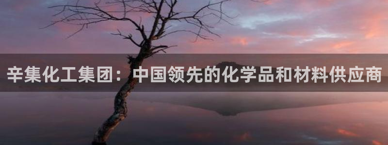 球盟会登录平台：辛集化工集团：中国领先的化学品和材料供应商