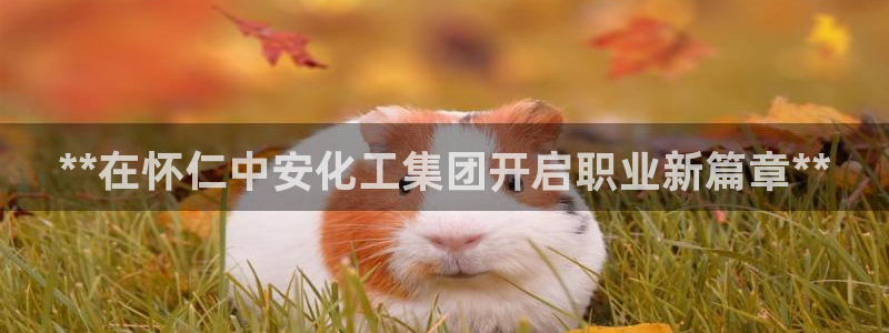 球盟会中国网页登录：**在怀仁中安化工集团开启职业新篇章**