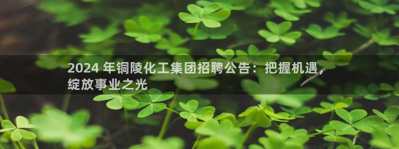 球盟会登录网址：2024 年铜陵化工集团招聘公告：把握机遇，