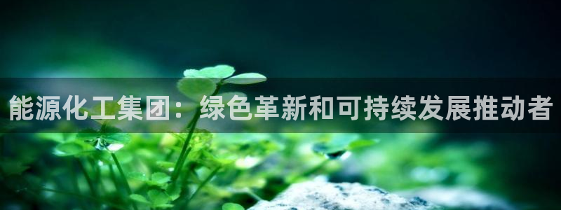 球盟会有没有黑单的球员：能源化工集团：绿色革新和可持续发展推