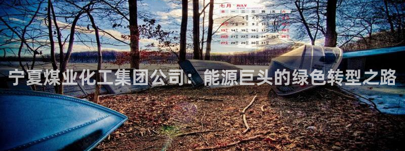 球盟会电子：宁夏煤业化工集团公司：能源巨头的绿色转型之路