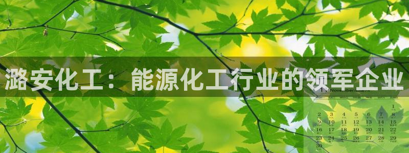 球盟会和中欧