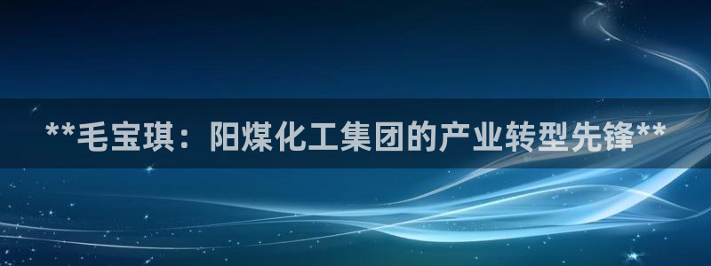 球盟会官方入口：**毛宝琪：阳煤化工集团的产业转型先锋**
