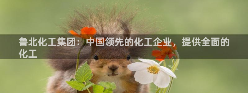 球盟会黑网：鲁北化工集团：中国领先的化工企业，提供全面的
化