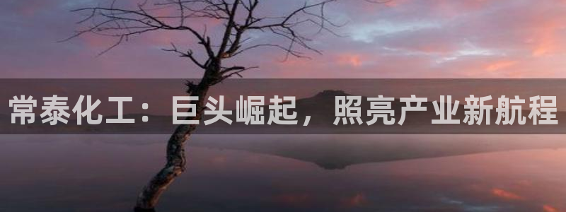 球盟会app手机登录：常泰化工：巨头崛起，照亮产业新航程